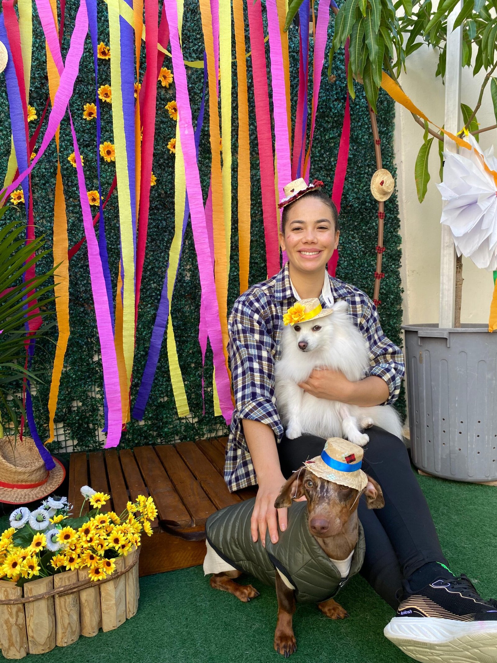 festa-junina-para-cachorro-campinas