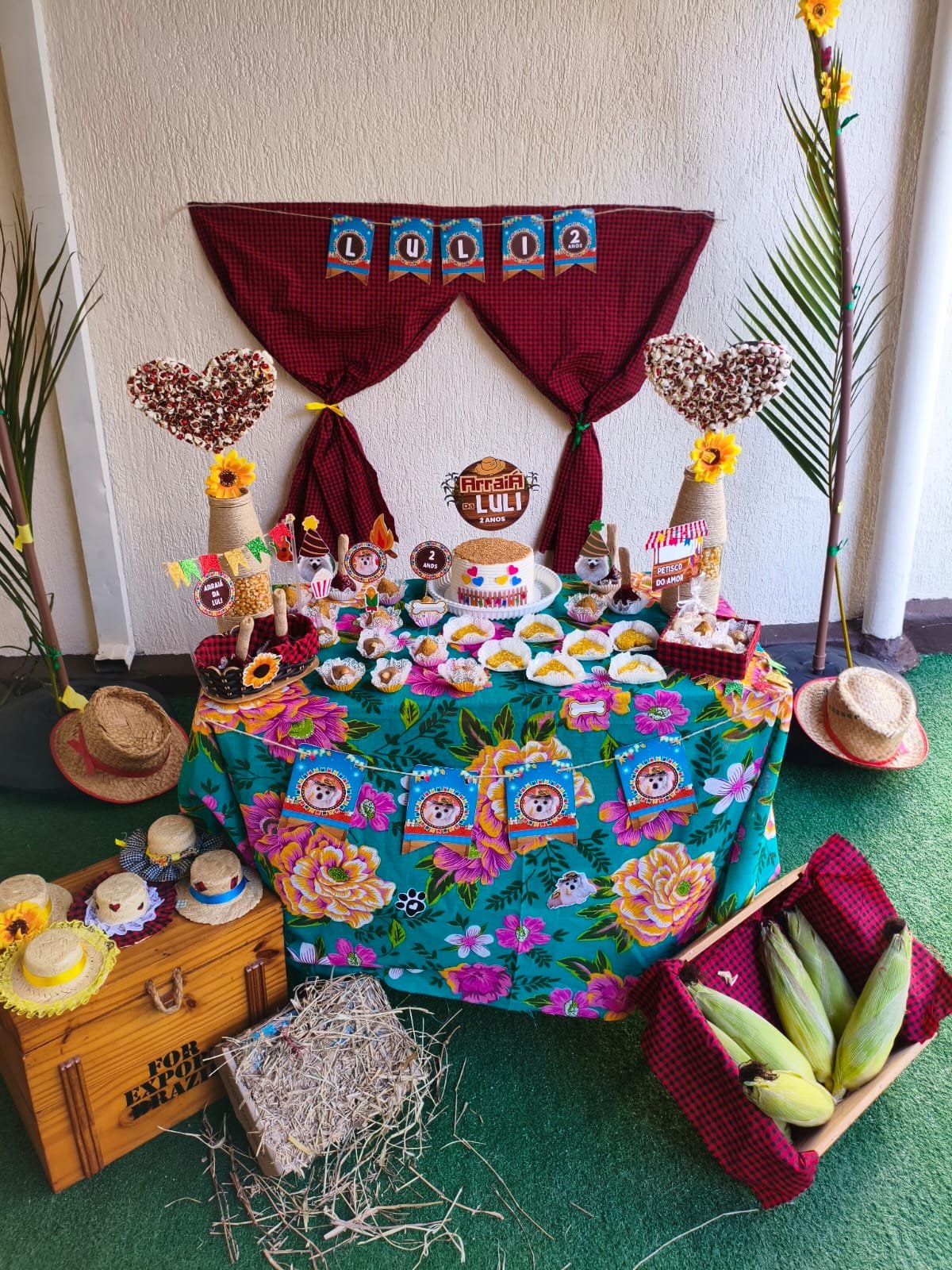 festa-junina-creche-pet-taquaral-campinas